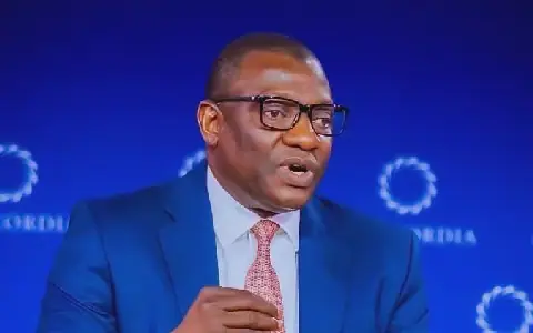 Nigeria's 44 Minerals Must Create Jobs, Not Export Poverty, Says Wunti