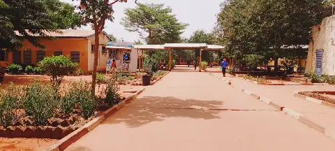 Patients in Chad Face Frustrating Wait Times and Poor Service at Hospitals