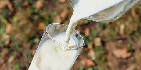 Tunisia Sets 19.8 Million Liters as Regulated Milk Stock for 2026