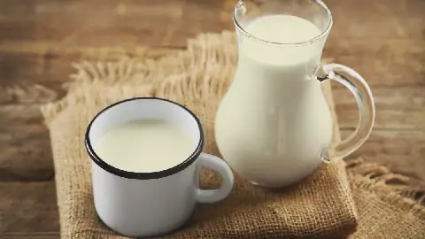 Tunisia Sets 19.8 Million Liters of Milk for Market Regulation