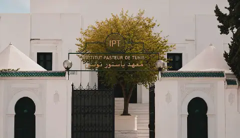 Institut Pasteur de Tunis Explores Genetic Link Between Diabetes and Alzheimer's
