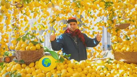 Tunisian Artist's Lemon Stand Saved from Demolition