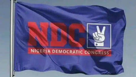 NDC raises concern over Enugu LG polls, commends peaceful process