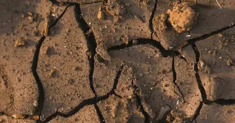 Drought declared in three-quarters of India's richest state