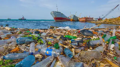 Bizerte Hosts Global Sea Forum, Urges Action Against Plastic Pollution