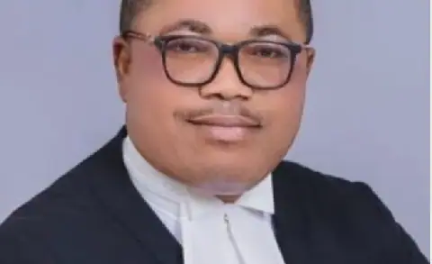 Human Rights Lawyer Ifeanyi Ejiofor Urges Protection for Peter Obi