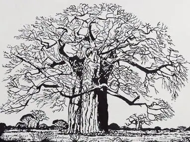 ’n Kremetartboom deur Pierneef.