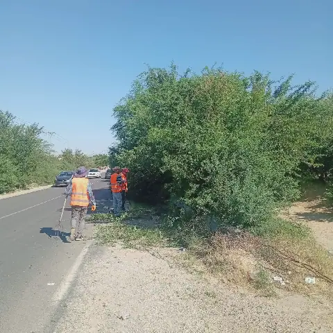 Tunisia's Kairouan Region Undergoes Road Cleaning and Maintenance