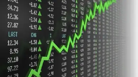 Egyptian Stock Market Sees 94.5% of Transactions from Local Investors