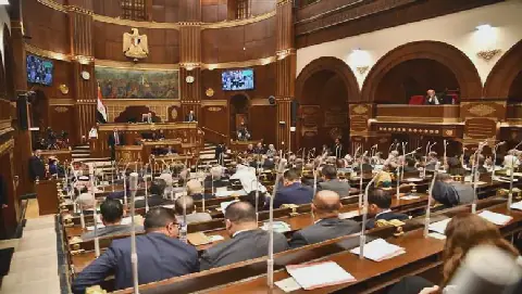 Understanding the Role of the Chairman of the Specialized Committee in Egypt's Senate