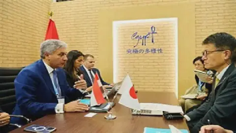 Egypt, Japan Discuss Boosting Tourism Cooperation