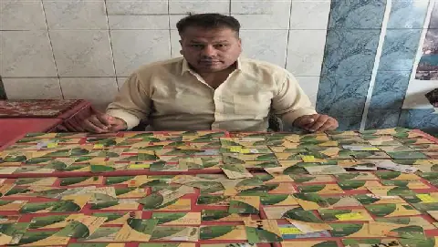 Egyptian Authorities Uncover 205 Unauthorized Food Cards in Giza Campaign