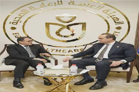Egypt, Africa Cooperate on Healthcare and Investment