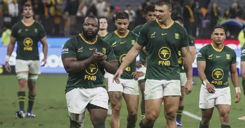 Erasmus: Springboks Have Themselves to Blame for Defeat