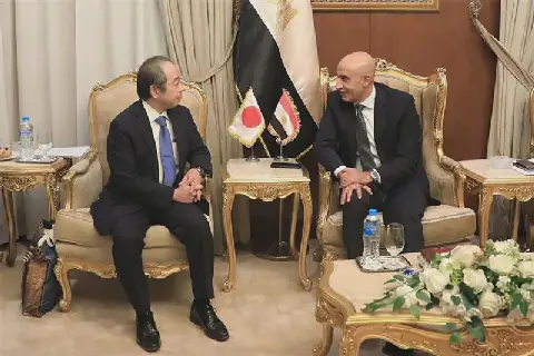 Egypt, Japan discuss expanding education partnership, Egypt-Japan schools