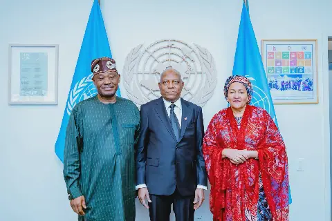 Shettima Urges UN Security Council Reform for African Representation