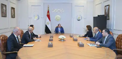 Al-Sisi Urges Orange to Join Second Phase of Digital Health Project