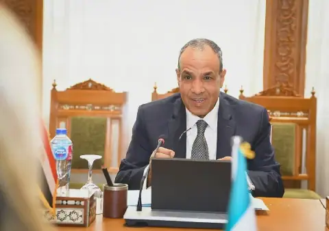 Egyptian expats are key partners in development: Foreign Minister