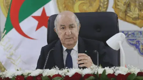 Algerian President Tebboune Meets with Scientific Diaspora