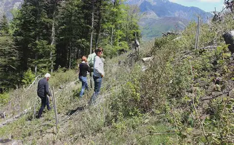 Algeria Launches Reforestation Program in Béjaïa Province