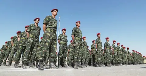 Yemen's Armed Forces Conduct 356 Targeting Operations Against Houthis in 24 Hours