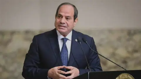 Egypt's President Sisi Delegates Powers to Defense Minister