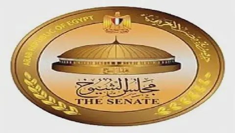 Egyptian President Sisi Calls for Senate Session
