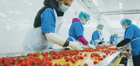 Egypt's Food Industry Sees Significant Growth with $6.9 Billion in Exports
