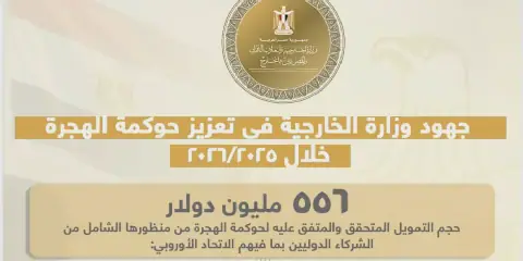 Egypt Makes Progress in Migration File, Stresses International Cooperation