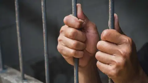 Egyptian Authorities Arrest Individual for Vandalism and Assault in Cairo