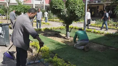 Egyptian University Replants Campus After Tree Cutting Video