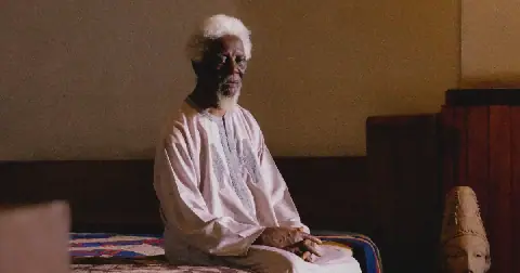 The Nigerian architect Demas Nwoko built a house that has stayed cool without AC for nearly 50 years in Delta.