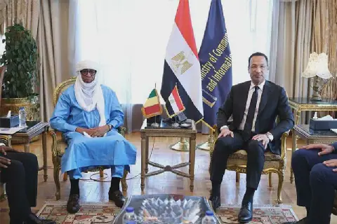 Egypt, Mali discuss cooperation on digital transformation, government services