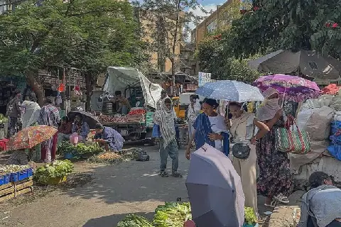 Ethiopia Pro-Government Forces Seize Tigray Town Amid Escalating Conflict