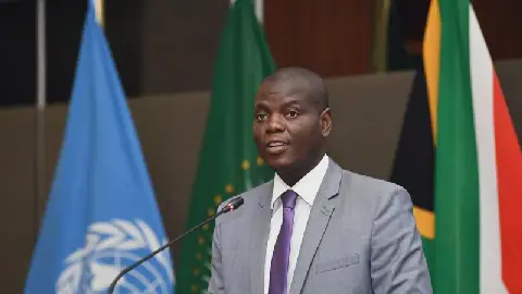 SA embassy repairs estimated at R831m as DA urges DIRCO spending rethink
