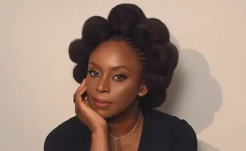 Chimamanda Adichie, husband urge court to dismiss hospital's suit against son's death inquest
