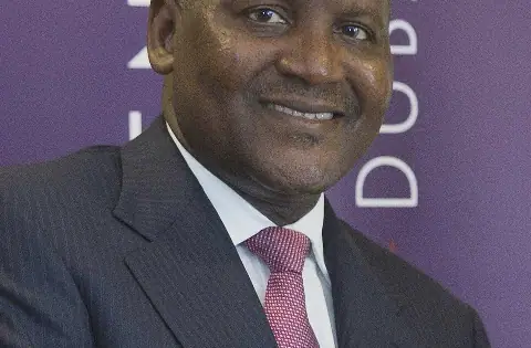 Beyond Dangote IPO: What happens when the promise is tested