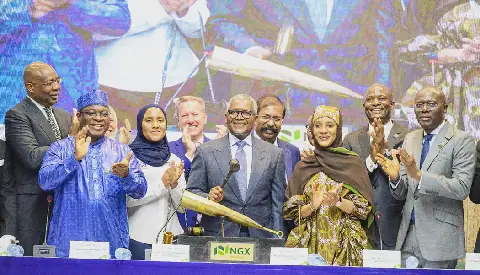Evaluating the Dangote Refinery IPO: Trust and Value