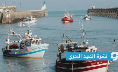 «الأرصاد»: ارتفاع الموج 3 أمتار على الساحل من شحات إلى درنة