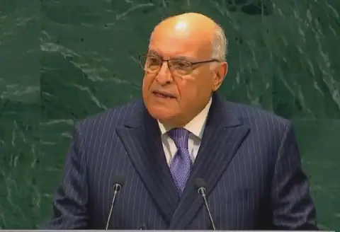 Algeria Calls for Profound UN Security Council Reform