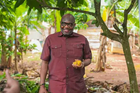 COCOBOD Sets New Producer Price for 2026/27 Cocoa Season