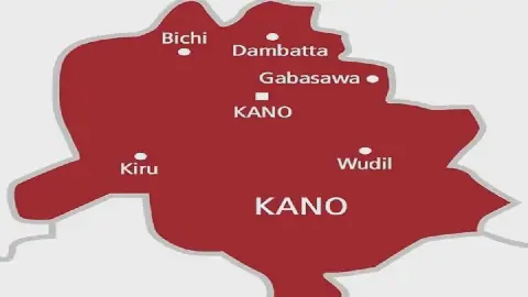 NFSS Deploys Personnel as Suspected Rabid Dogs Bite 18 in Kano Community