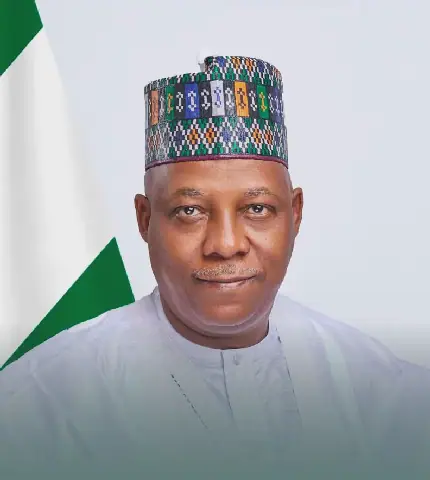 Africa’s exclusion from Security Council undermines UN legitimacy — Shettima