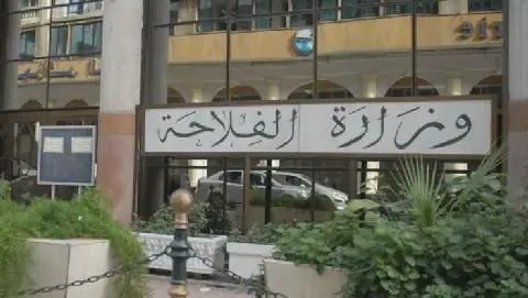 Algeria's Upcoming Agricultural Guidance Law Amendment to Mark Significant Shift