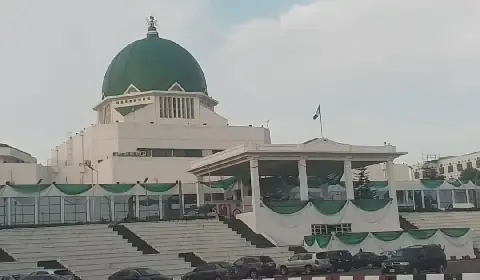 State Police, Miners' Deaths Top Agenda as Nigeria's National Assembly Resumes