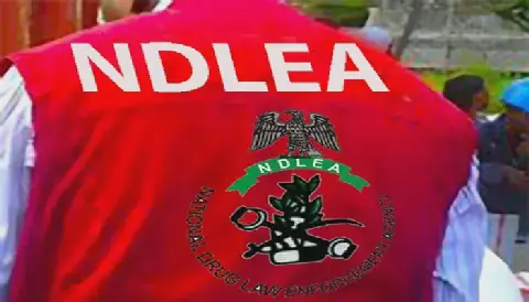 ndlea