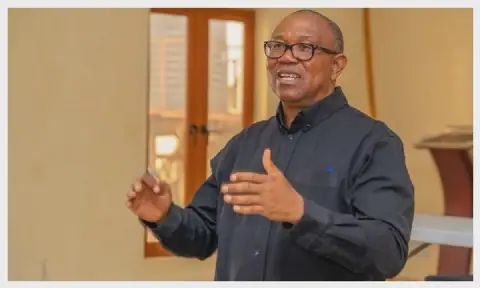 Peter Obi Promises to Restore Petroleum Subsidy, Tackle Corruption