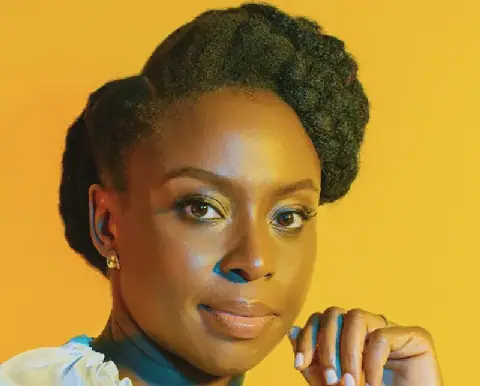 Chimanda Adichie's Son's Death: Family Urges Court to Dismiss Hospital's Bid to Halt Coroner’s Inquest