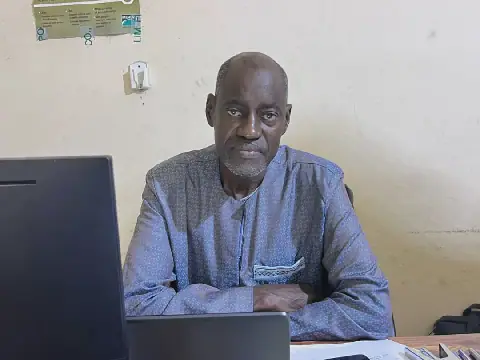 Proliferation of Stray Dogs in Senegal's Mbacké Department Sparks Health Concerns
