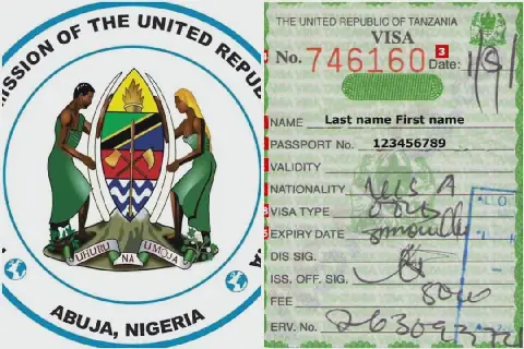 Tanzania Removes Nigerians From Referral Visa Category